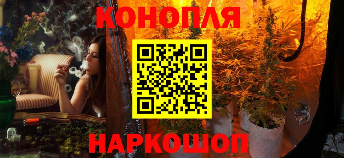 Конопля Amnesia  Канабис планчик  Вход с VPN  Чебаркуль  Каннабис сатива 